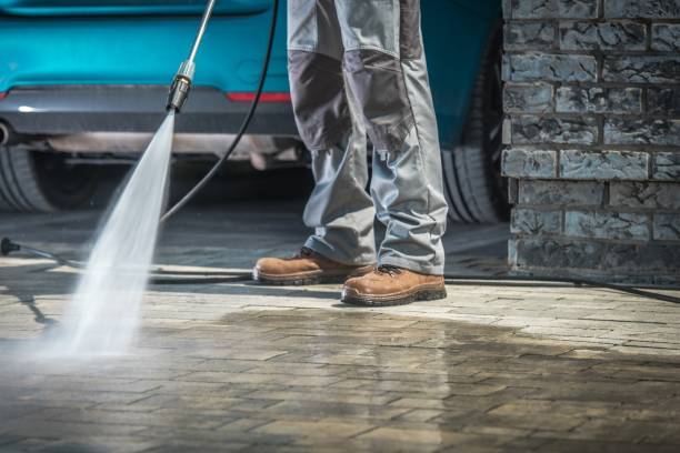 Best Pre-Holiday Cleaning  in Rehoboth Beach, DE