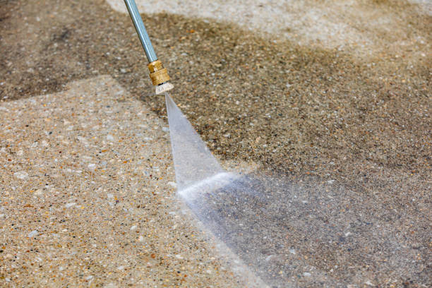 Animal Enclosure Cleaning in Rehoboth Beach, DE